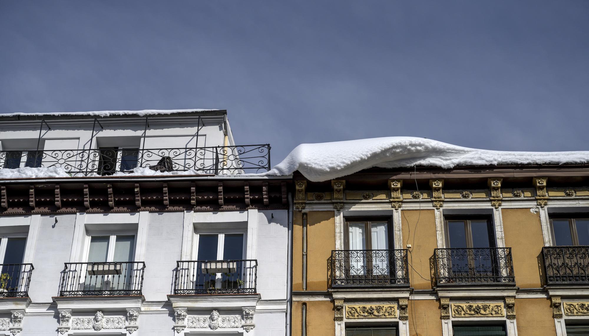 Nevada enero 2021 - 6